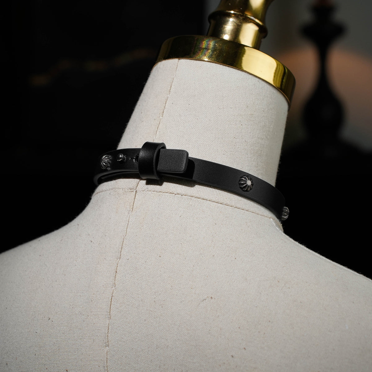 Ray Beam Decorative Collar